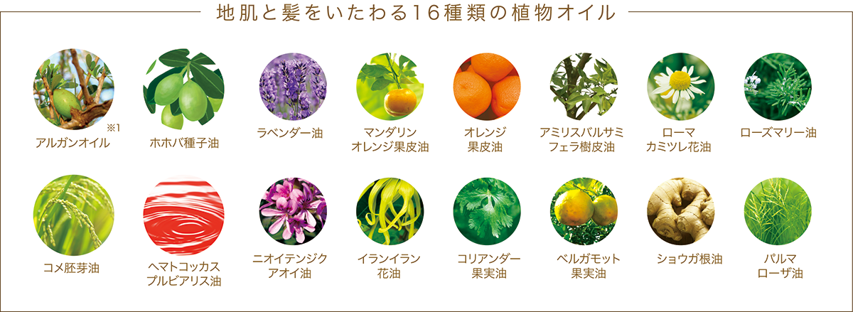 16種類の植物オイル